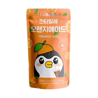 Cantabile Orange Iced Tea | 10 x 230ml