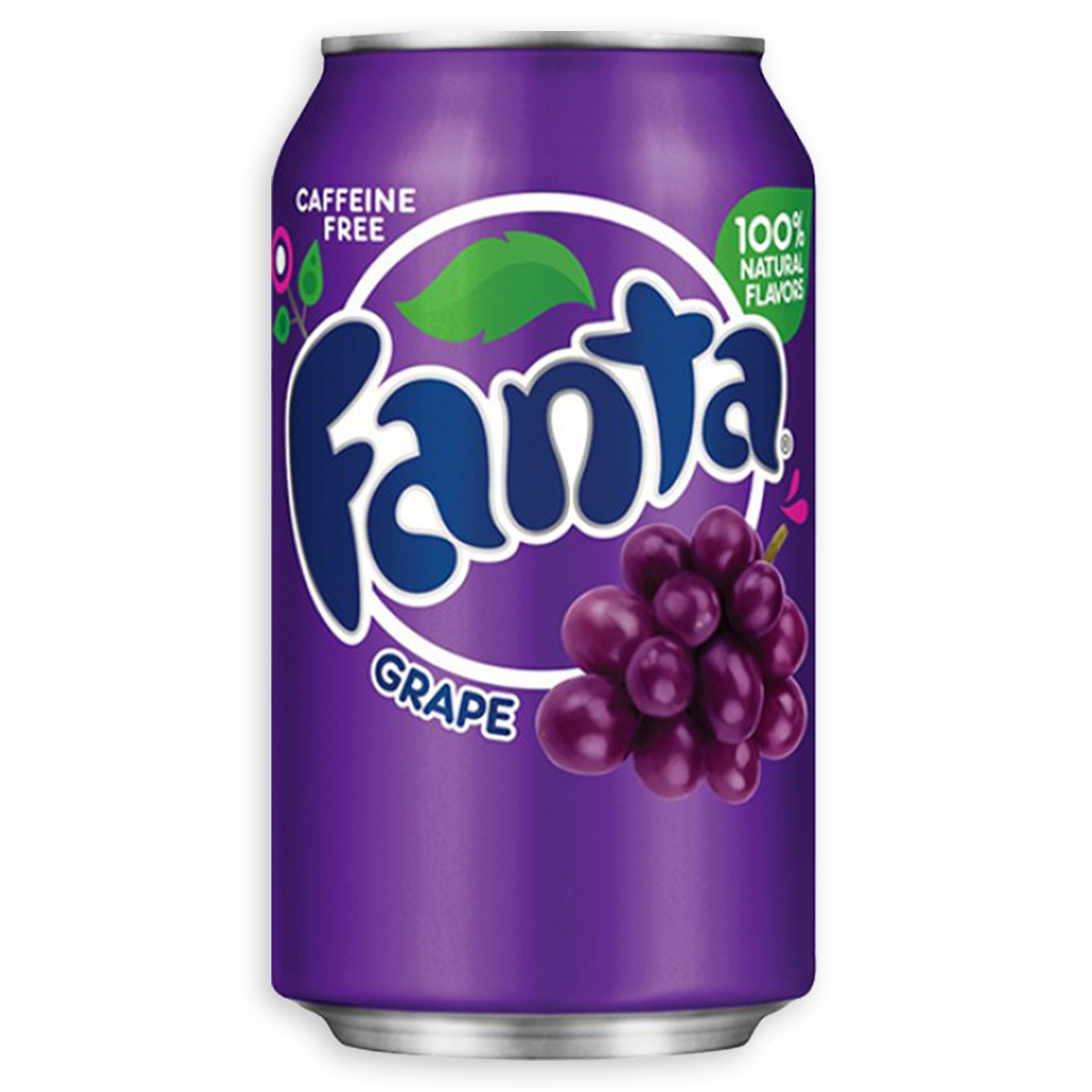 Fanta Grape | 24 x 355ml